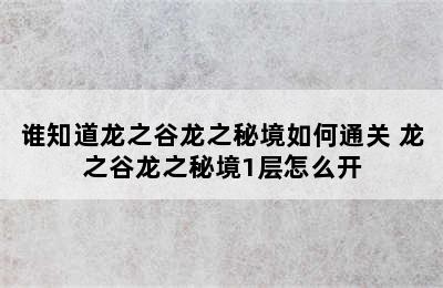 谁知道龙之谷龙之秘境如何通关 龙之谷龙之秘境1层怎么开